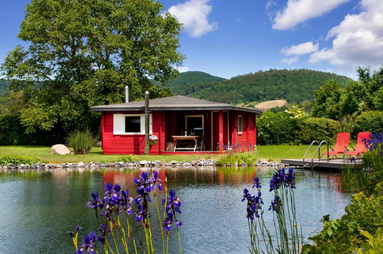 Romantic Wooden Lodge,Sauna,Schwimmteich,Alleinstehend,Absolut Ruhig Хессиш-Ольдендорф Экстерьер фото