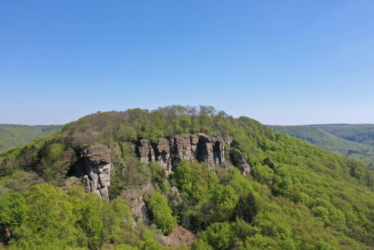 Romantic Wooden Lodge,Sauna,Schwimmteich,Alleinstehend,Absolut Ruhig Хессиш-Ольдендорф Экстерьер фото