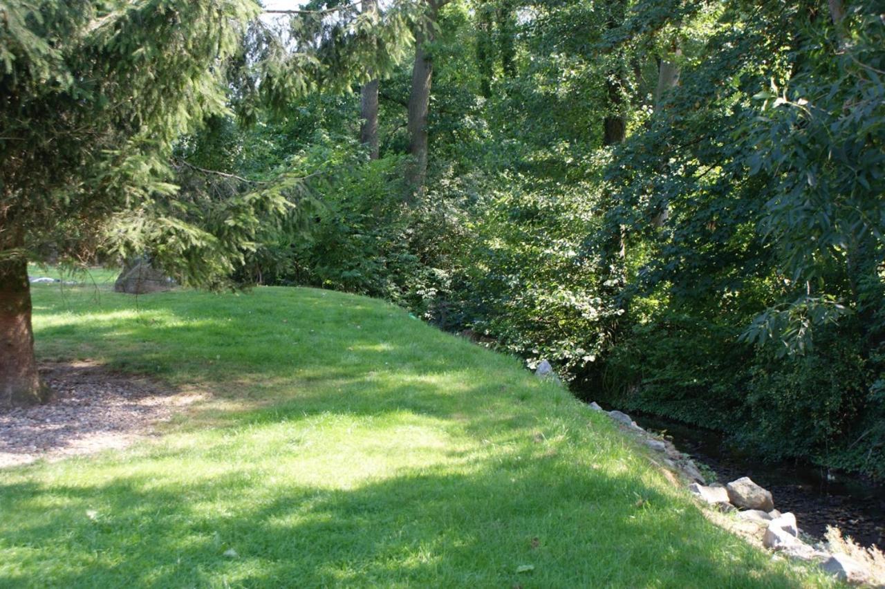 Romantic Wooden Lodge,Sauna,Schwimmteich,Alleinstehend,Absolut Ruhig Хессиш-Ольдендорф Экстерьер фото